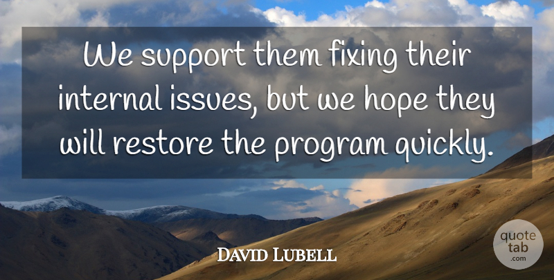 David Lubell Quote About Fixing, Hope, Internal, Program, Restore: We Support Them Fixing Their...