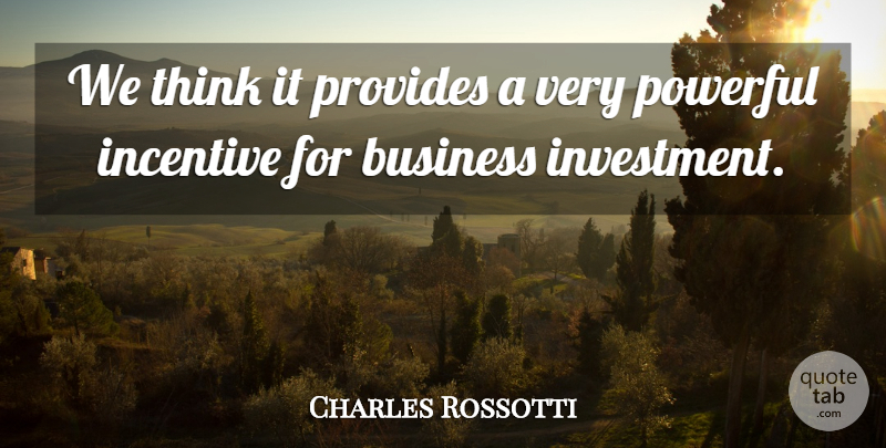 Charles Rossotti Quote About Business, Incentive, Powerful, Provides: We Think It Provides A...