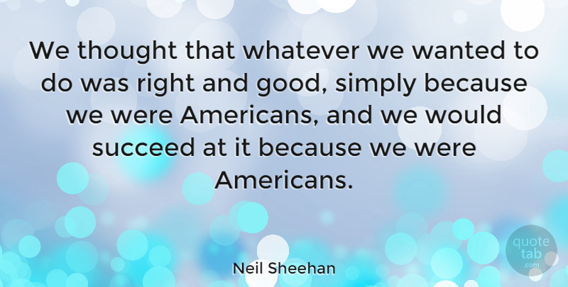 Neil Sheehan Quote About Succeed, Literature, Wanted: We Thought That Whatever We...