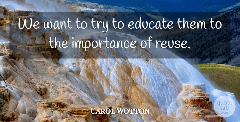 Carol Wotton Quote About Educate, Importance: We Want To Try To...