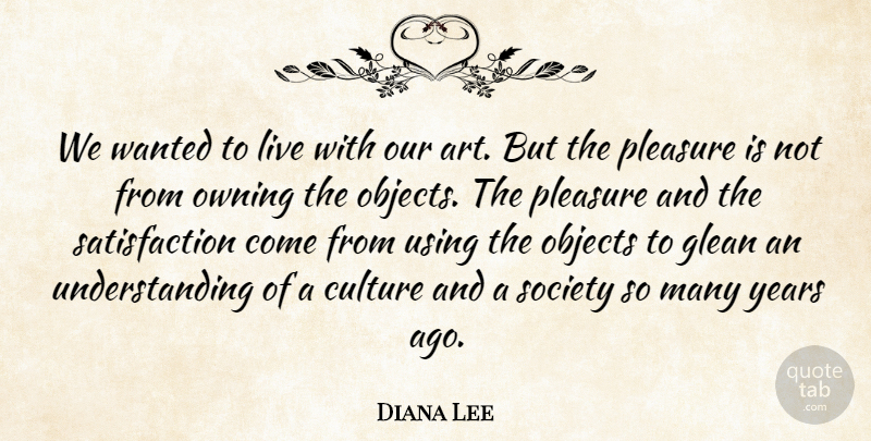 Diana Lee Quote About Culture, Objects, Owning, Pleasure, Society: We Wanted To Live With...