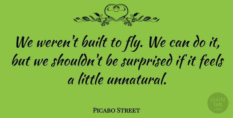 Picabo Street Quote About American Athlete, Built, Feels: We Werent Built To Fly...