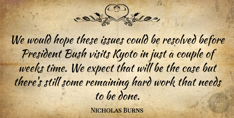 Nicholas Burns Quote About Bush, Case, Couple, Expect, Hard: We Would Hope These Issues...