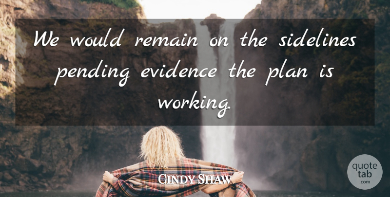 Cindy Shaw Quote About Evidence, Plan, Remain, Sidelines: We Would Remain On The...