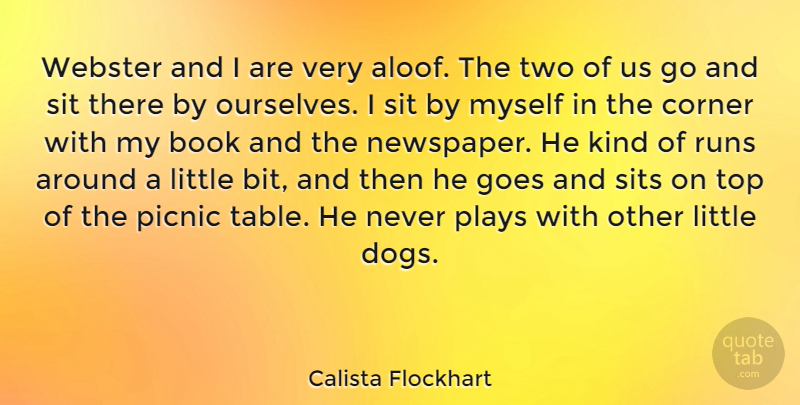 Calista Flockhart Quote About Corner, Goes, Picnic, Plays, Runs: Webster And I Are Very...