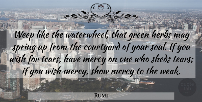 Rumi Quote About Wisdom, Spring, Islamic: Weep Like The Waterwheel That...