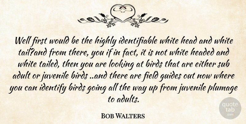 Bob Walters Quote About Adult, Birds, Either, Field, Guides: Well First Would Be The...