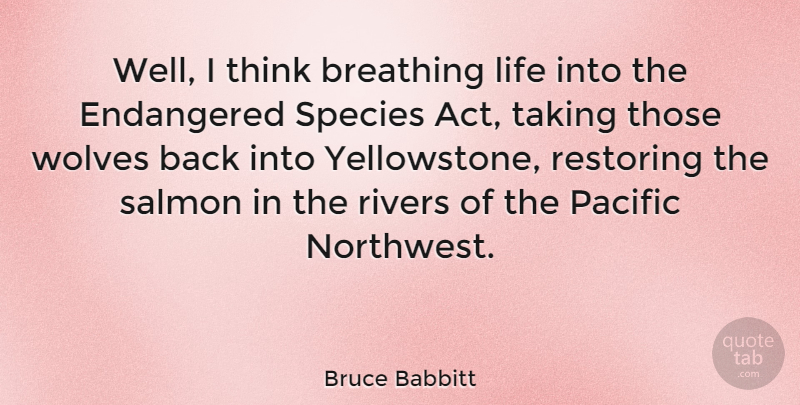 Bruce Babbitt Quote About Thinking, Breathing, Rivers: Well I Think Breathing Life...