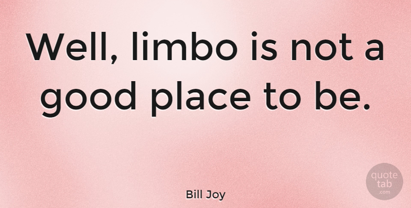 Bill Joy Quote About Limbo, Wells, Good Place: Well Limbo Is Not A...