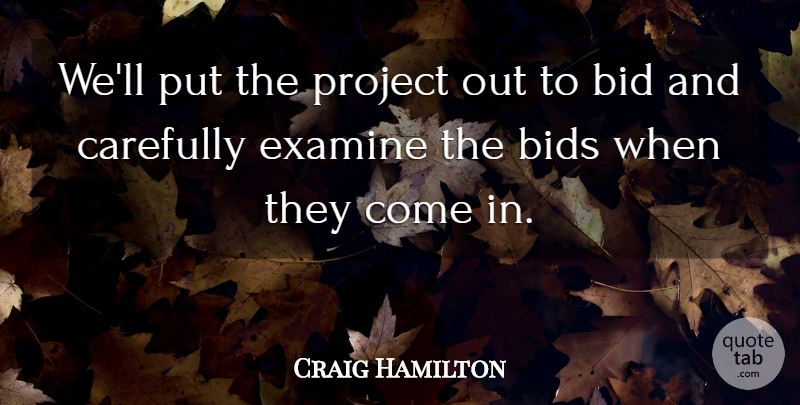 Craig Hamilton Quote About Bid, Bids, Carefully, Examine, Project: Well Put The Project Out...