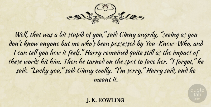 J. K. Rowling Quote About Sorry, Stupid, Impact: Well That Was A Bit...
