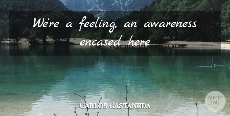 Carlos Castaneda Quote About Feelings, Words Of Wisdom, Awareness: Were A Feeling An Awareness...