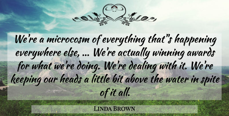 Linda Brown Quote About Above, Awards, Bit, Dealing, Everywhere: Were A Microcosm Of Everything...