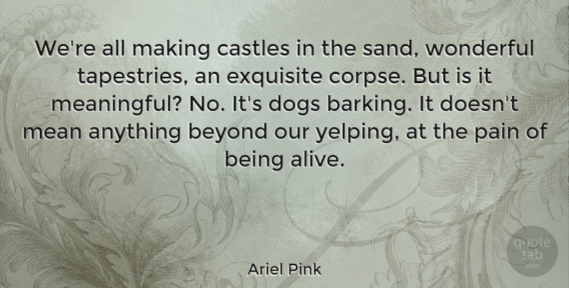 Ariel Pink Quote About Beyond, Castles, Dogs, Exquisite, Wonderful: Were All Making Castles In...