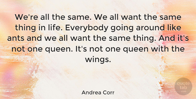 Andrea Corr Quote About Queens, Wings, Things In Life: Were All The Same We...