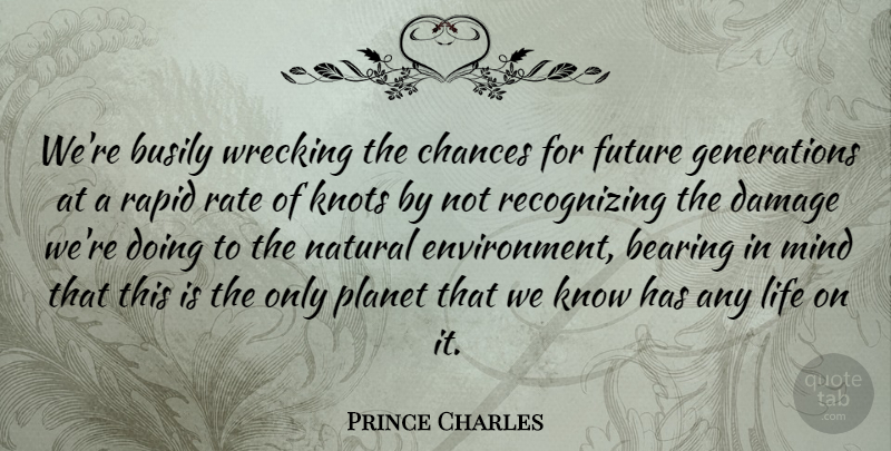 Prince Charles Quote About Bearing, Busily, Chances, Damage, Future: Were Busily Wrecking The Chances...