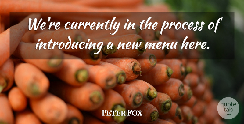 Peter Fox Quote About Currently, Menu, Process: Were Currently In The Process...