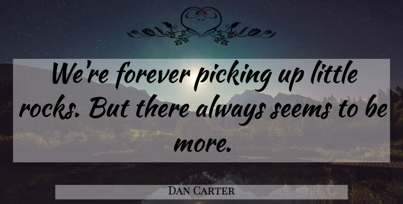 Dan Carter Quote About Forever, Picking, Seems: Were Forever Picking Up Little...