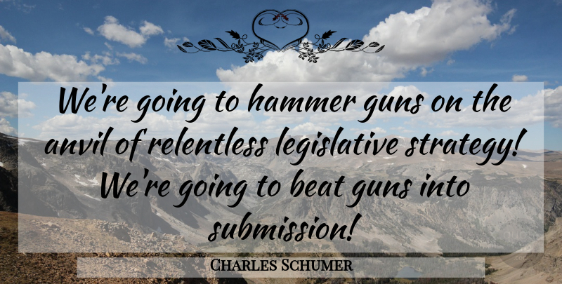 Charles Schumer Quote About Gun, Hammers, Anvils: Were Going To Hammer Guns...