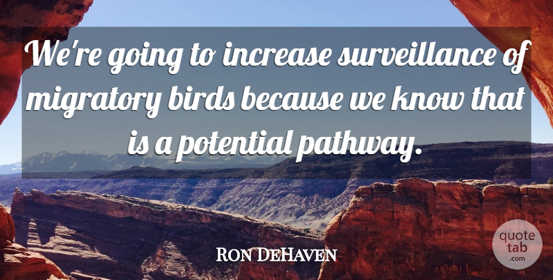 Ron DeHaven Quote About Birds, Increase, Potential: Were Going To Increase Surveillance...