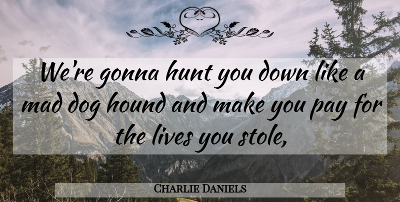 Charlie Daniels Quote About Dog, Gonna, Hound, Hunt, Lives: Were Gonna Hunt You Down...