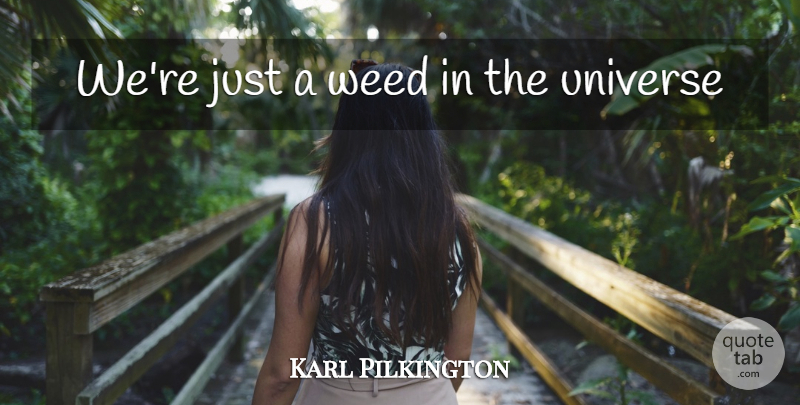 Karl Pilkington Quote About Weed, Universe: Were Just A Weed In...