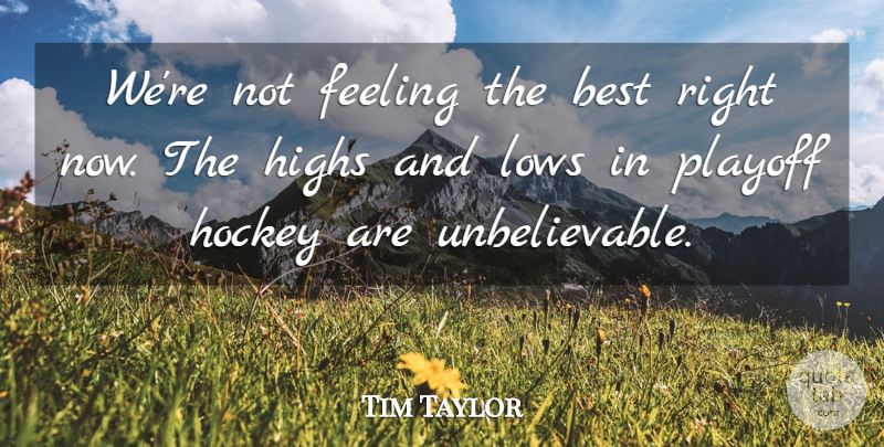 Tim Taylor Quote About Best, Feeling, Highs, Hockey, Lows: Were Not Feeling The Best...