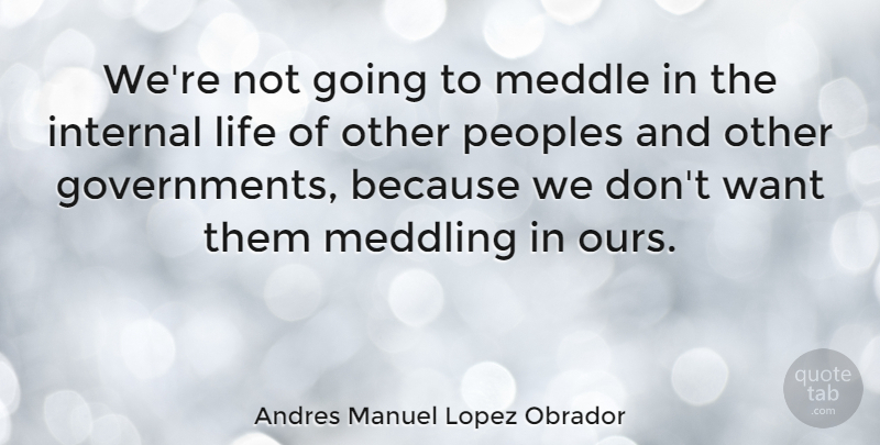 Andres Manuel Lopez Obrador Quote About Government, Want, Meddling: Were Not Going To Meddle...