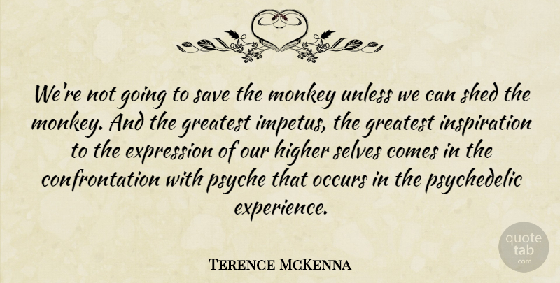 Terence McKenna Quote About Inspiration, Self, Expression: Were Not Going To Save...