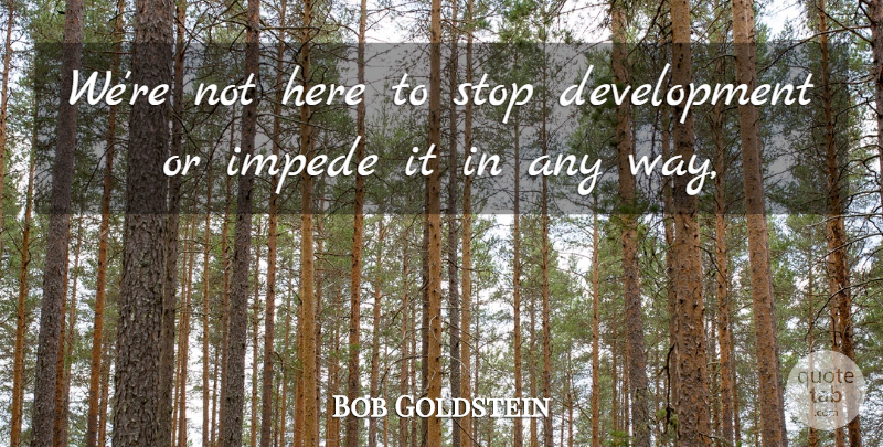 Bob Goldstein Quote About Stop: Were Not Here To Stop...