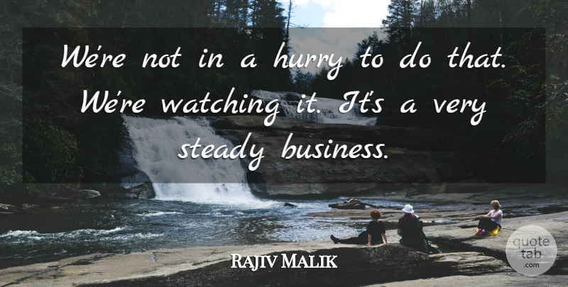 Rajiv Malik Quote About Business, Hurry, Steady, Watching: Were Not In A Hurry...