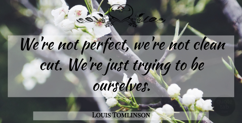 Louis Tomlinson Quote About Hate, Cutting, Perfect: Were Not Perfect Were Not...