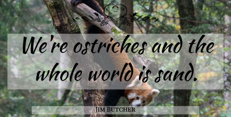 Jim Butcher Quote About Ostriches, World, Sand: Were Ostriches And The Whole...