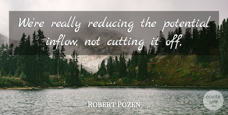 Robert Pozen Quote About Cutting, Potential, Reducing: Were Really Reducing The Potential...