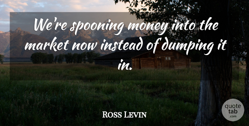 Ross Levin Quote About Instead, Market, Money: Were Spooning Money Into The...
