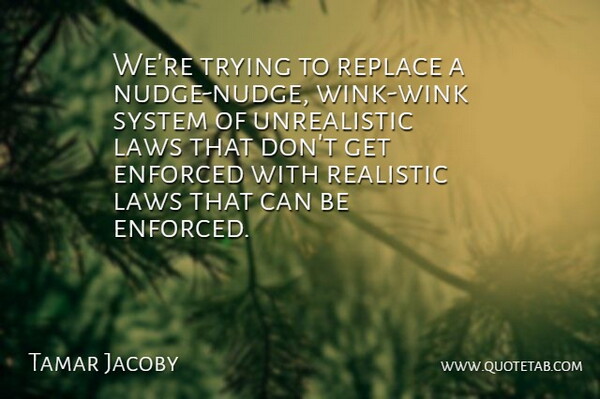 Tamar Jacoby Quote About Enforced, Laws, Realistic, Replace, System: Were Trying To Replace A...