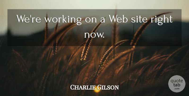 Charlie Gilson Quote About Site, Web: Were Working On A Web...