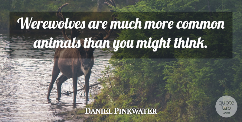Daniel Pinkwater Quote About Thinking, Animal, Might: Werewolves Are Much More Common...