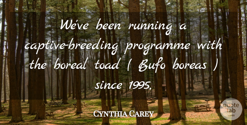 Cynthia Carey Quote About Programme, Running, Since, Toad: Weve Been Running A Captive...