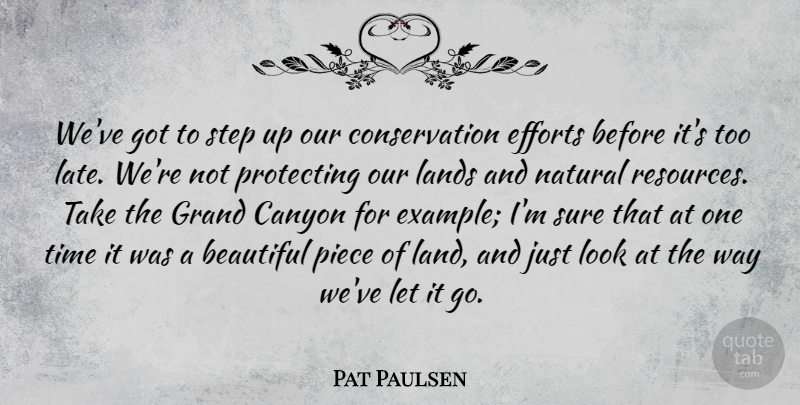 Pat Paulsen Quote About Beautiful, Land, Effort: Weve Got To Step Up...