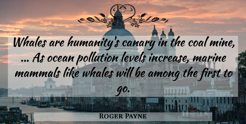Roger Payne Quote About Among, Canary, Coal, Levels, Mammals: Whales Are Humanitys Canary In...