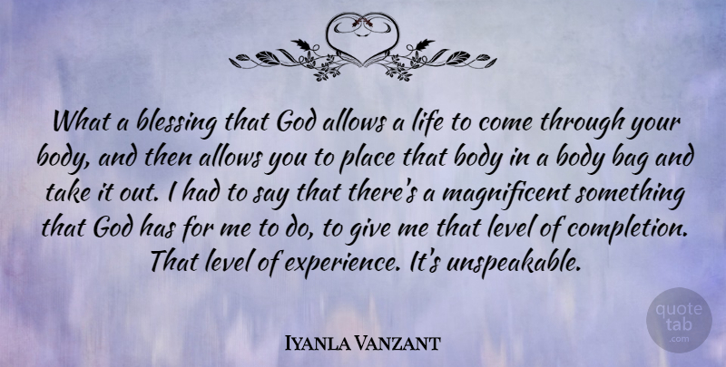 Iyanla Vanzant Quote About Blessing, Giving, Bags: What A Blessing That God...