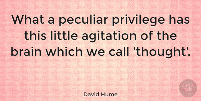 David Hume Quote About Philosophical, Brain, Littles: What A Peculiar Privilege Has...
