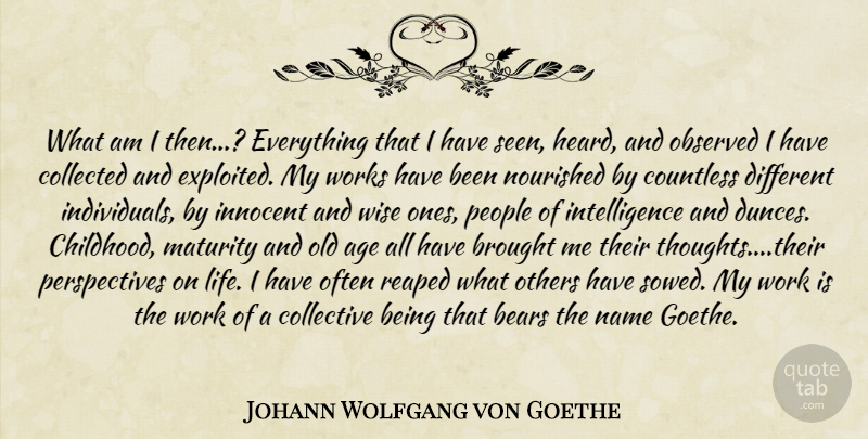 Johann Wolfgang von Goethe Quote About Wise, Maturity, Names: What Am I Then Everything...