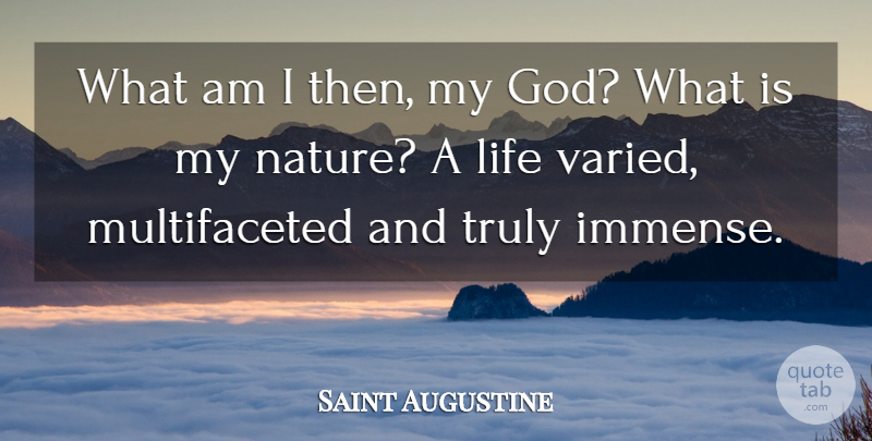 Saint Augustine Quote About Life, Human Nature, Immense: What Am I Then My...