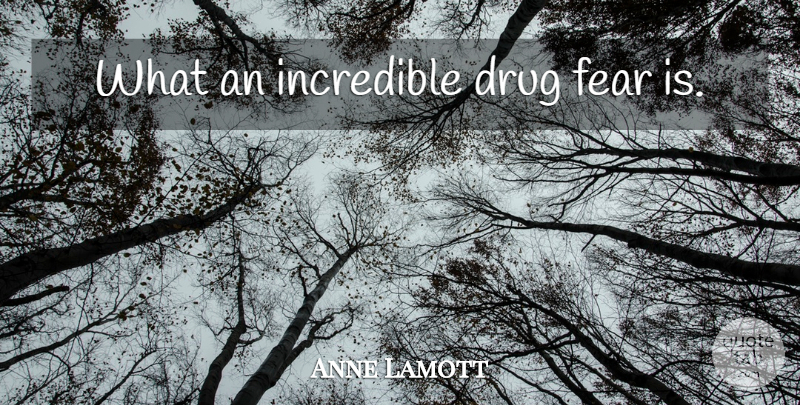 Anne Lamott Quote About Fear, Drug, Incredibles: What An Incredible Drug Fear...