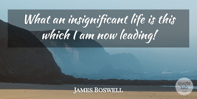 James Boswell Quote About Life Is, Insignificant: What An Insignificant Life Is...