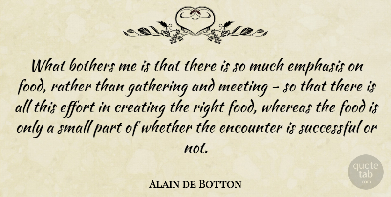 Alain de Botton Quote About Bothers, Creating, Emphasis, Encounter, Food: What Bothers Me Is That...