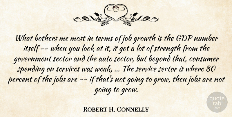 Robert H. Connelly Quote About Auto, Beyond, Bothers, Consumer, Government: What Bothers Me Most In...