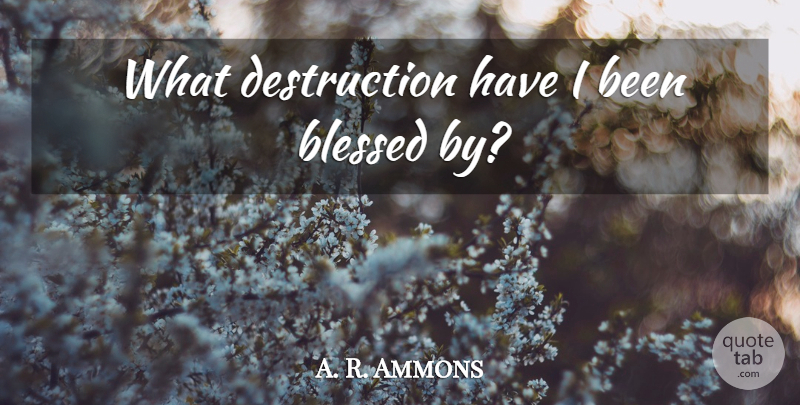 A. R. Ammons Quote About Blessed, Destruction: What Destruction Have I Been...
